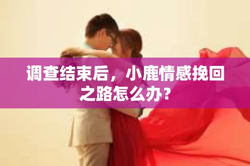 调查结束后，小鹿情感挽回之路怎么办？