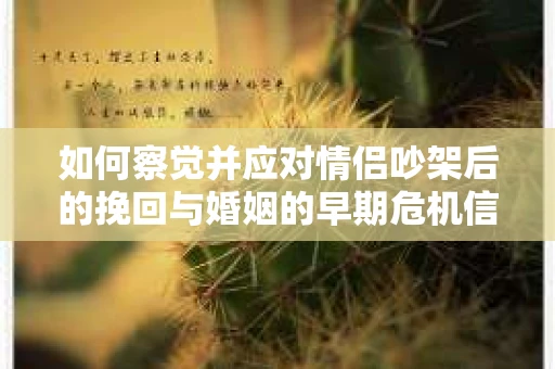 如何察觉并应对情侣吵架后的挽回与婚姻的早期危机信号？