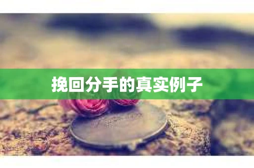 挽回分手的真实例子