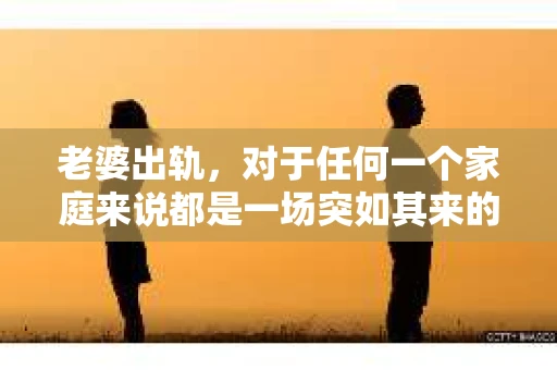 老婆出轨，对于任何一个家庭来说都是一场突如其来的风暴。面对这样的困境，如何挽回婚姻，重拾家庭的和谐，成为了许多人迫切想要了解的问题。今天，我们就来聊聊这个敏感而现实的话题——老婆出轨最好的挽回办法。