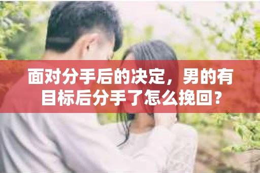 面对分手后的决定，男的有目标后分手了怎么挽回？