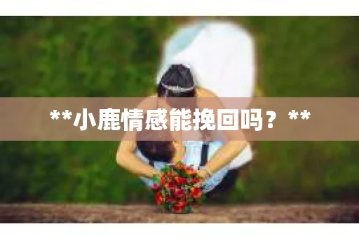 **小鹿情感能挽回吗？**