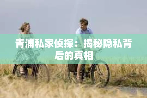 青浦私家侦探：揭秘隐私背后的真相