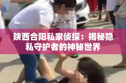 陕西合阳私家侦探：揭秘隐私守护者的神秘世界