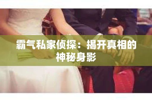 霸气私家侦探：揭开真相的神秘身影