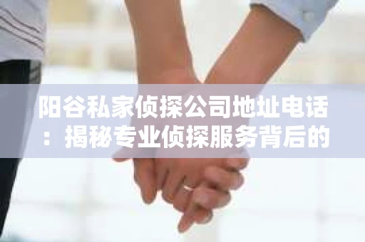 阳谷私家侦探公司地址电话：揭秘专业侦探服务背后的故事