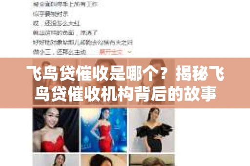 飞鸟贷催收是哪个？揭秘飞鸟贷催收机构背后的故事