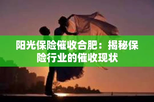 阳光保险催收合肥：揭秘保险行业的催收现状