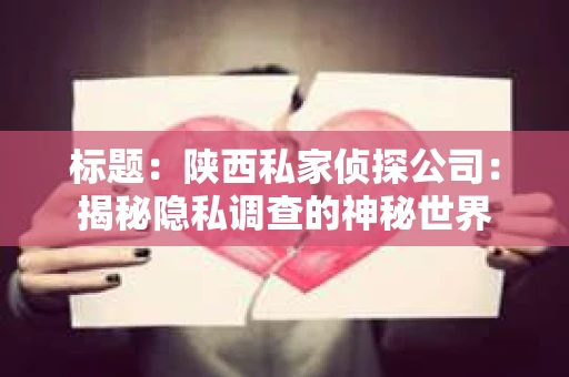 标题：陕西私家侦探公司：揭秘隐私调查的神秘世界
