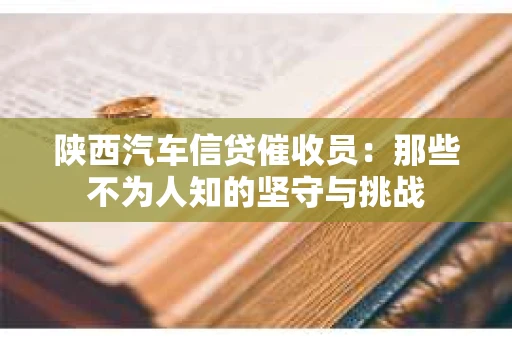 陕西汽车信贷催收员：那些不为人知的坚守与挑战