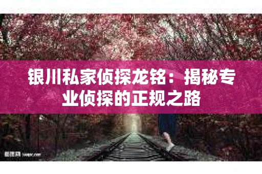 银川私家侦探龙铭：揭秘专业侦探的正规之路