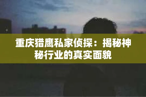 重庆猎鹰私家侦探：揭秘神秘行业的真实面貌