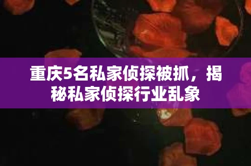 重庆5名私家侦探被抓，揭秘私家侦探行业乱象