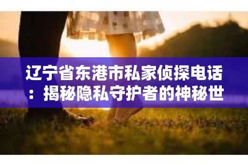 辽宁省东港市私家侦探电话：揭秘隐私守护者的神秘世界