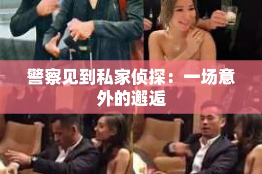 警察见到私家侦探：一场意外的邂逅