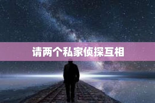 请两个私家侦探互相