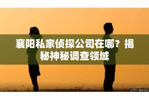 襄阳私家侦探公司在哪？揭秘神秘调查领域