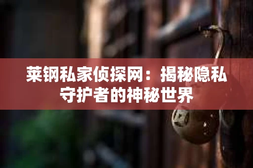 莱钢私家侦探网：揭秘隐私守护者的神秘世界