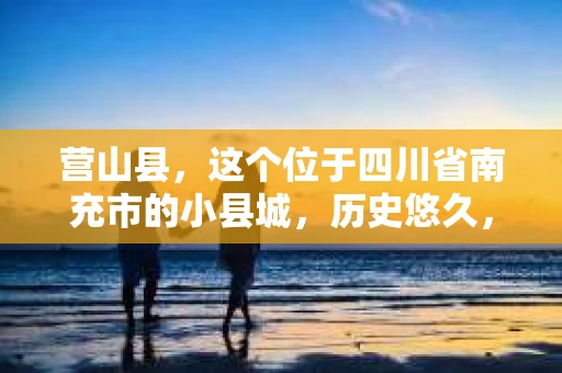 营山县，这个位于四川省南充市的小县城，历史悠久，风景秀丽。但在这个宁静的小县城里，你是否会好奇，有没有私家侦探的存在呢？今天，我就来和大家聊聊这个话题。