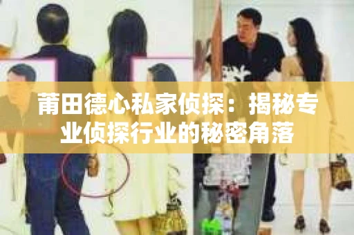 莆田德心私家侦探：揭秘专业侦探行业的秘密角落