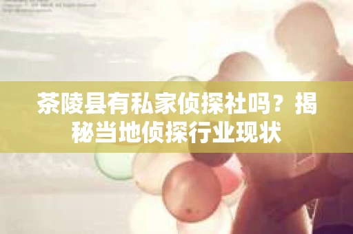 茶陵县有私家侦探社吗？揭秘当地侦探行业现状