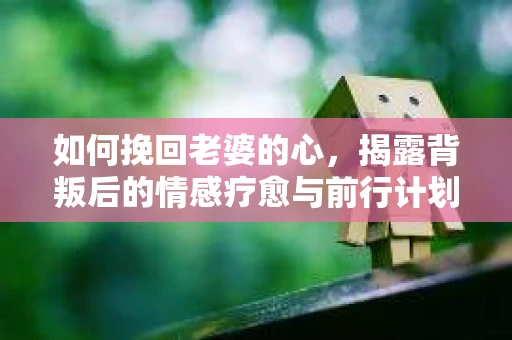 如何挽回老婆的心,揭露背叛后的情感疗愈与前行计划 如何挽回老婆的心,揭露背叛后的情感疗愈与前行计划