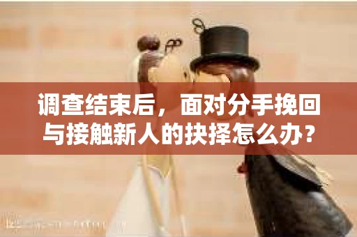 调查结束后，面对分手挽回与接触新人的抉择怎么办？
