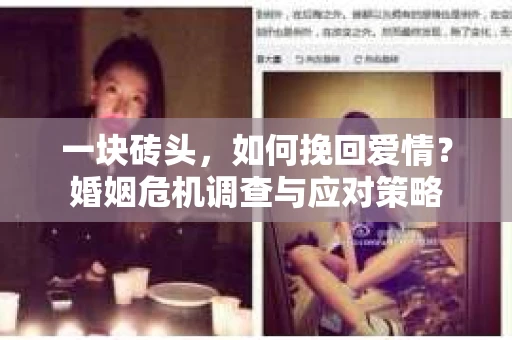 一块砖头，如何挽回爱情？婚姻危机调查与应对策略