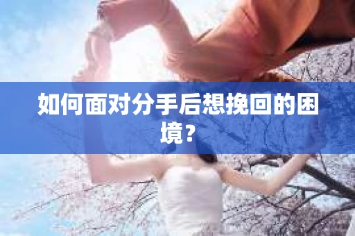 如何面对分手后想挽回的困境？