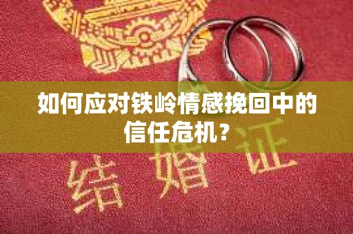 如何应对铁岭情感挽回中的信任危机？