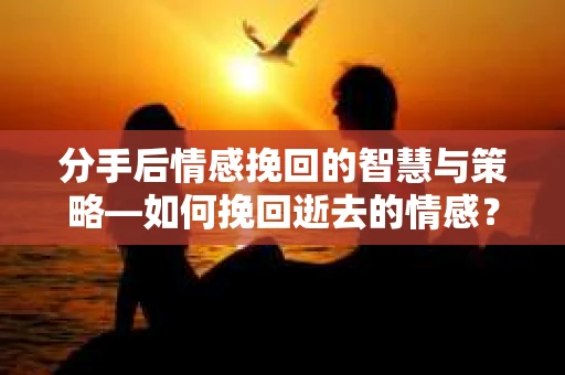 分手后情感挽回的智慧与策略—如何挽回逝去的情感？